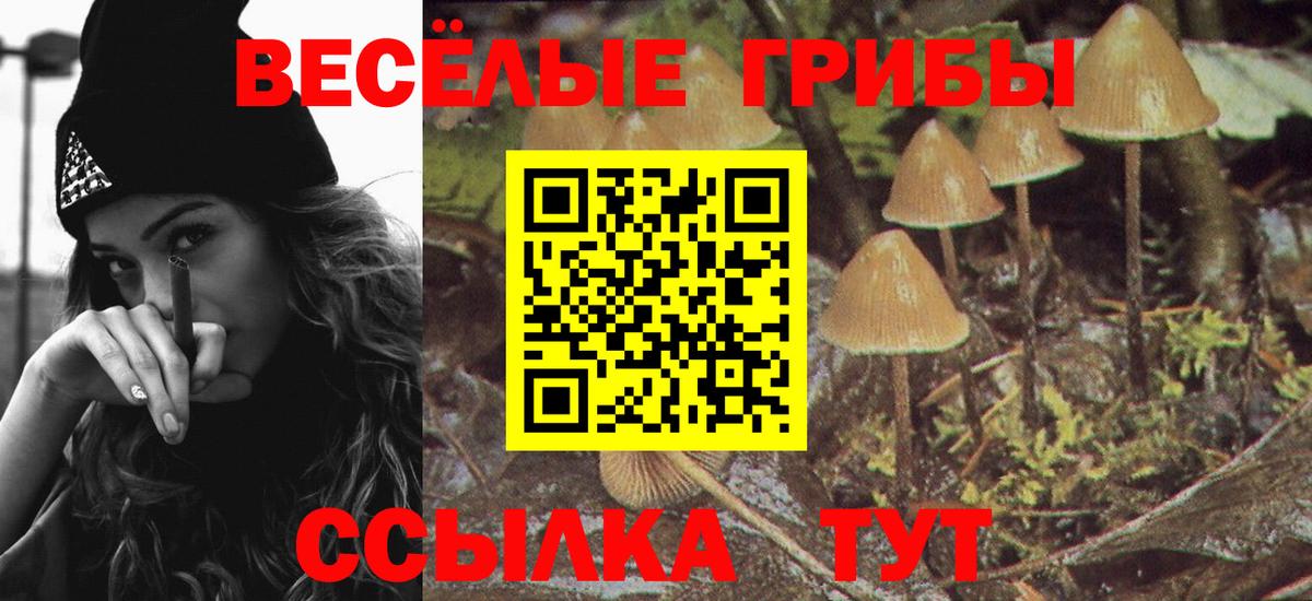 Псилоцибиновые грибы ЛСД  Вход с VPN  купить  сайты  Канаш 