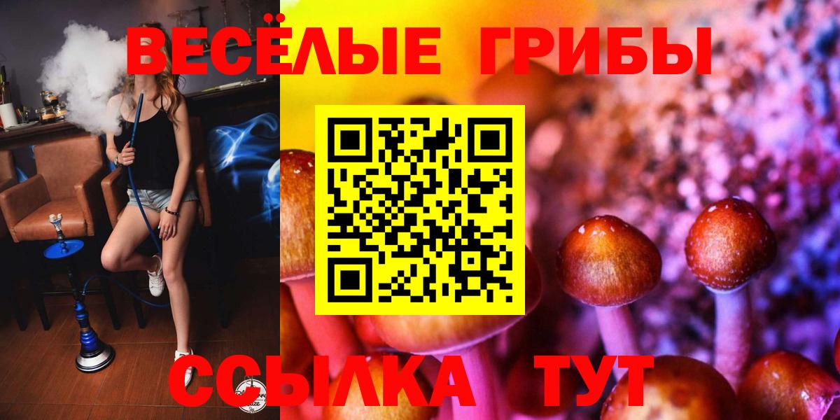Галлюциногенные грибы ЛСД Канаш